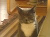 DSC01125.JPG