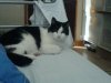 DSC01064.JPG