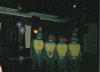 turtles.jpg
